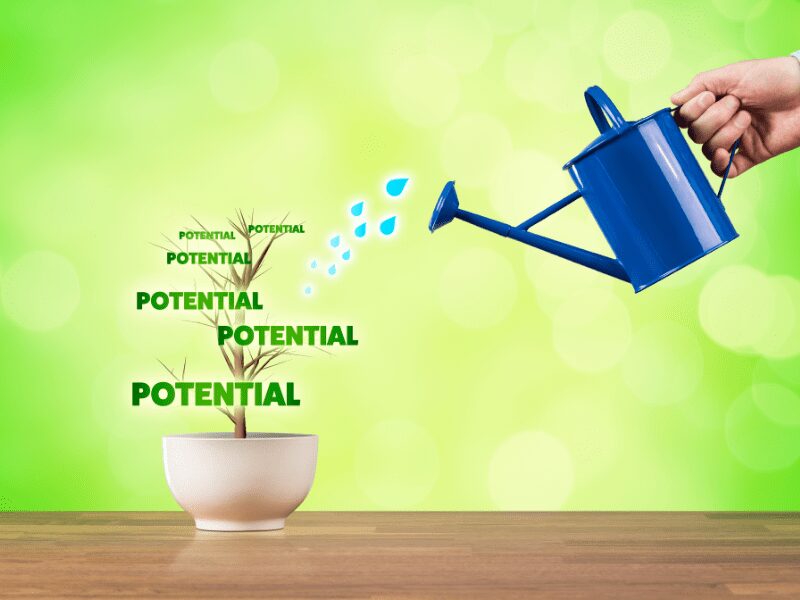 Die 7 häufigsten Ursachen für Leistungsabfälle im Team